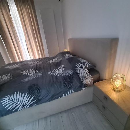 Apartament Moghioros Park Residence Dum1 布加勒斯特 外观 照片